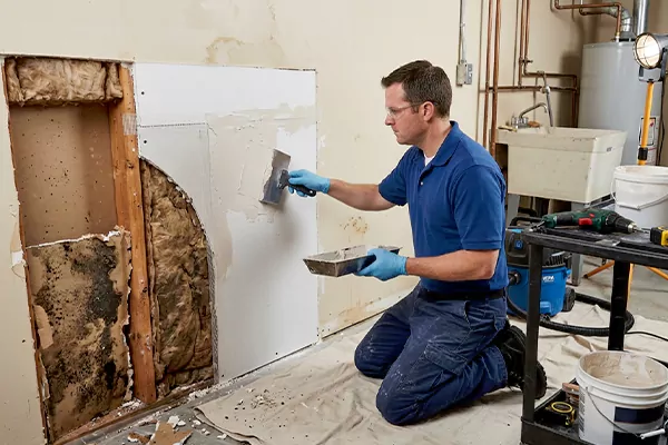 Mold and Drywall Repair Cathedral City