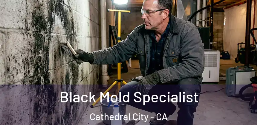  Black Mold Specialist Cathedral City - CA