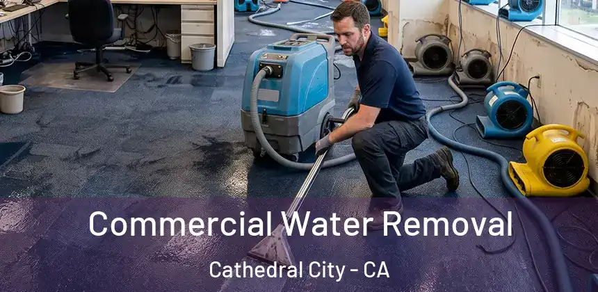  Commercial Water Removal Cathedral City - CA