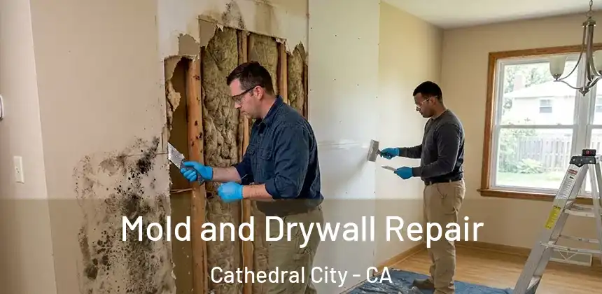  Mold and Drywall Repair Cathedral City - CA