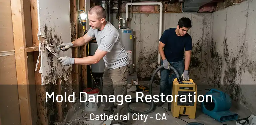  Mold Damage Restoration Cathedral City - CA