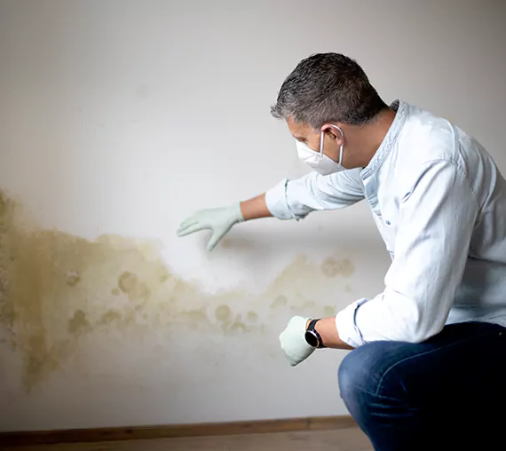 Mold Removal Service in Cathedral City, CA