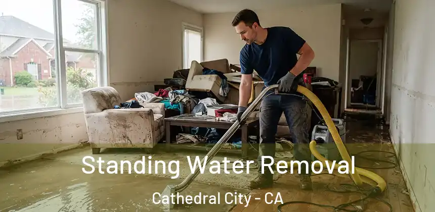  Standing Water Removal Cathedral City - CA