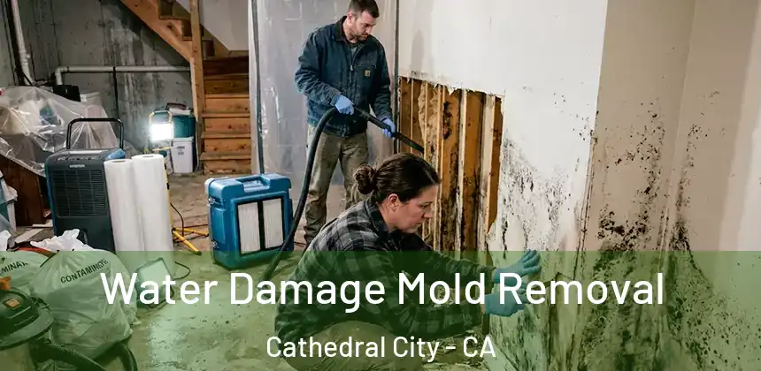  Water Damage Mold Removal Cathedral City - CA