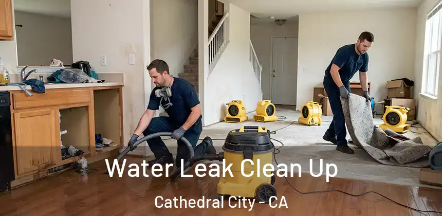  Water Leak Clean Up Cathedral City - CA